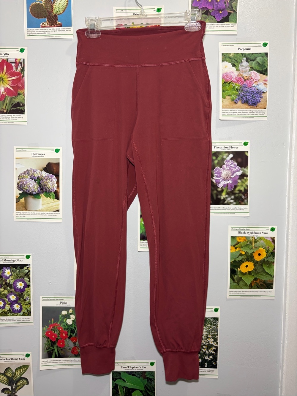 lululemon athletica Maroon Track Joggers